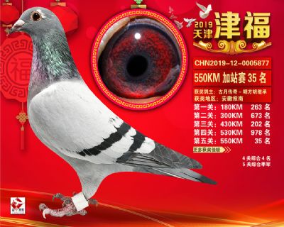 天津津福加站賽35名