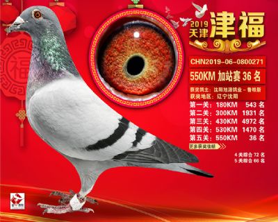 天津津福加站賽36名
