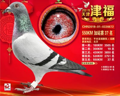 天津津福加站賽37名
