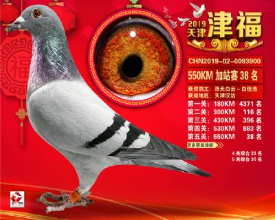 天津津福加站賽38名