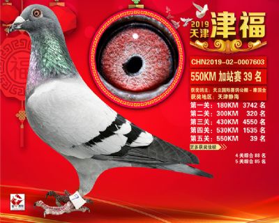 天津津福加站賽39名