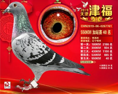 天津津福加站賽40名
