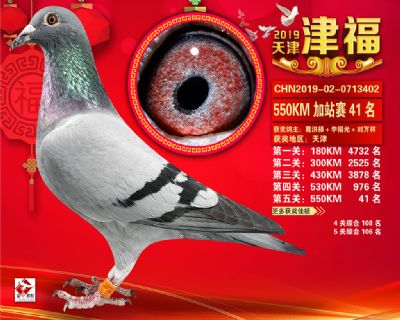 天津津福加站賽41名