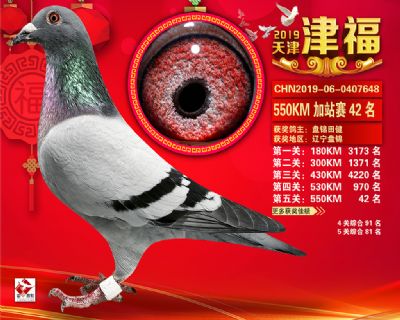 天津津福加站賽42名