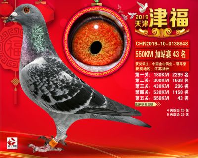 天津津福加站賽43名