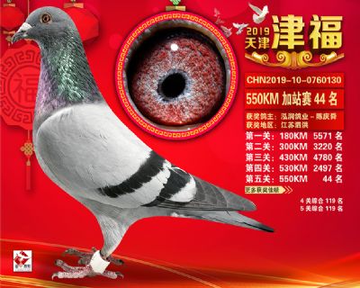 天津津福加站賽44名