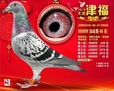 天津津福加站賽45名