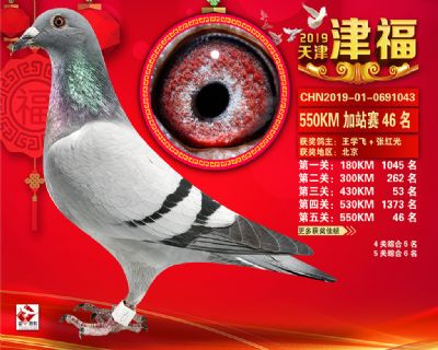 天津津福加站賽46名