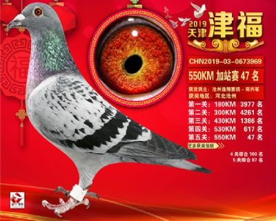 天津津福加站賽47名
