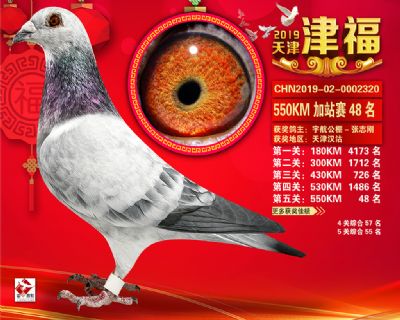 天津津福加站賽48名