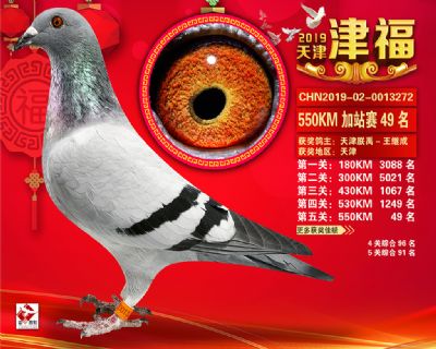 天津津福加站賽49名