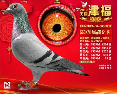 天津津福加站賽51名