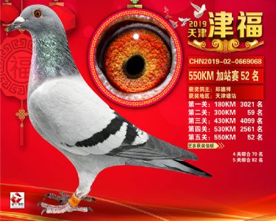天津津福加站賽52名