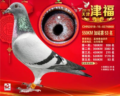 天津津福加站賽53名