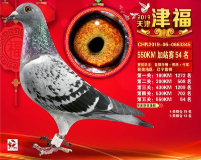 天津津福加站賽54名