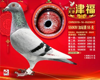 天津津福加站賽55名