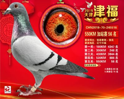 天津津福加站賽56名