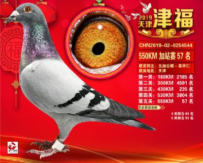 天津津福加站賽57名
