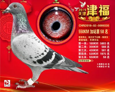 天津津福加站賽58名