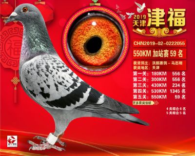 天津津福加站賽59名