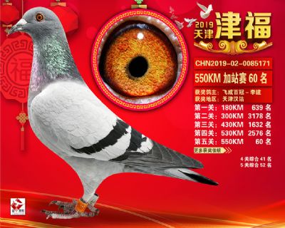 天津津福加站賽60名