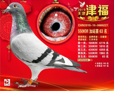 天津津福加站賽63名