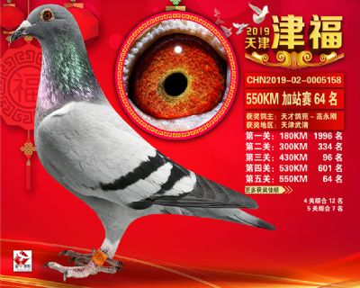 天津津福加站賽64名