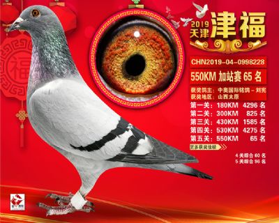 天津津福加站賽65名