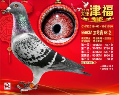 天津津福加站賽68名