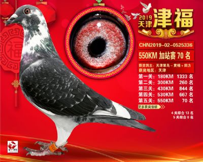 天津津福加站賽70名
