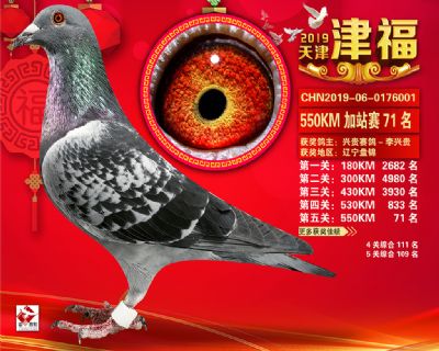 天津津福加站賽71名