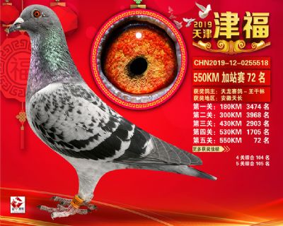 天津津福加站賽72名