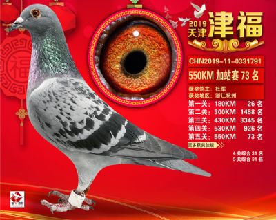 天津津福加站賽73名