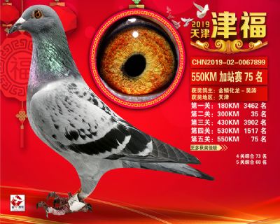 天津津福加站賽75名