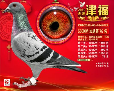 天津津福加站賽76名