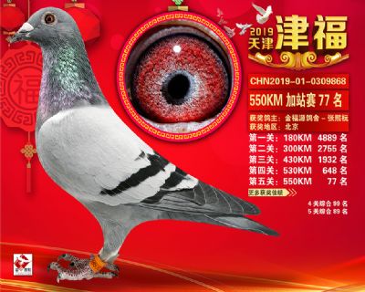 天津津福加站賽77名