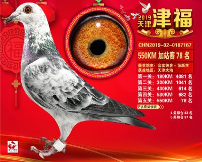 天津津福加站賽78名