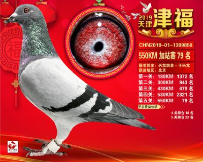 天津津福加站賽79名