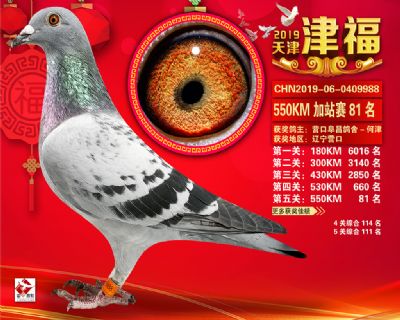 天津津福加站賽81名
