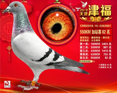 天津津福加站賽82名
