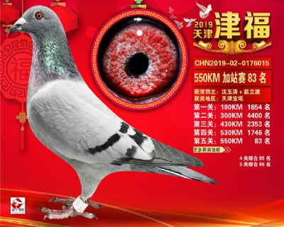 天津津福加站賽83名