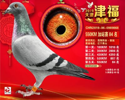 天津津福加站賽84名
