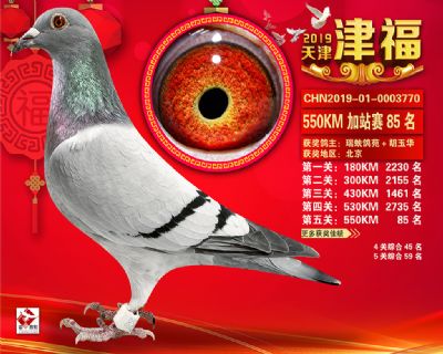天津津福加站賽85名