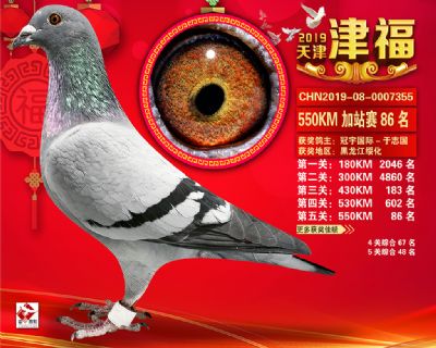 天津津福加站賽86名