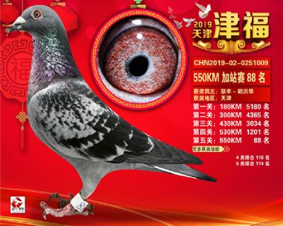 天津津福加站賽88名