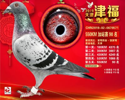 天津津福加站賽90名