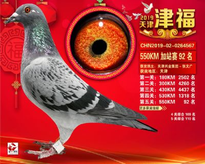 天津津福加站賽92名