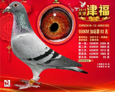 天津津福加站賽93名