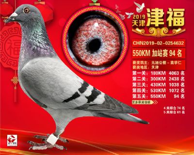 天津津福加站賽94名