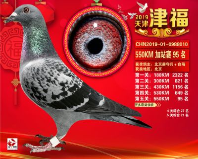 天津津福加站賽95名